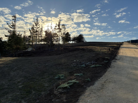 venta-terreno---sitio-5049mts-pichilemu-8