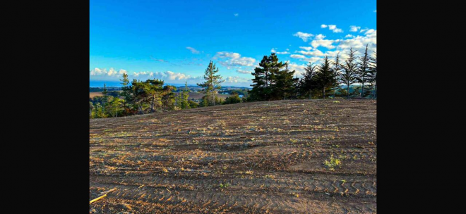 venta-terreno---sitio-5506mts-pichilemu-5