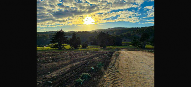 venta-terreno---sitio-5506mts-pichilemu-7
