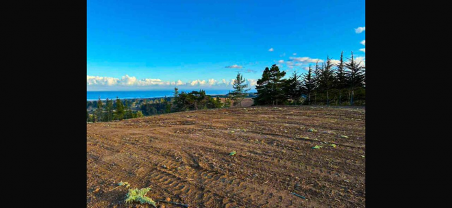 venta-terreno---sitio-5506mts-pichilemu-9