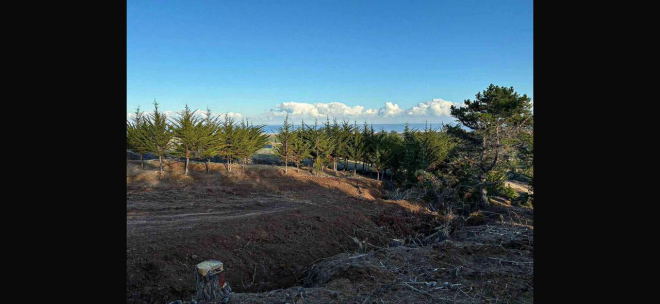 venta-terreno---sitio-5048mts-pichilemu-5