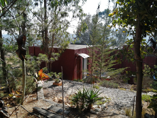 p20268089y5q-4