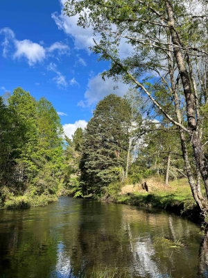 parcelas-con-rio-y-laguna-a-25min-villarrica-(1-9