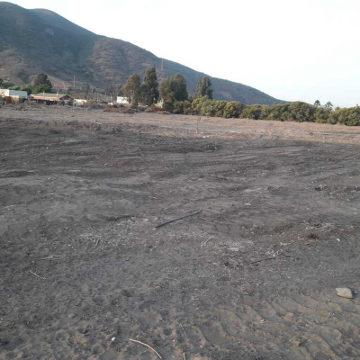 camino-el-real,-boco,-quillota-(174265)-5