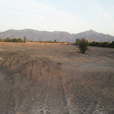 camino-el-real,-boco,-quillota-(174265)-6