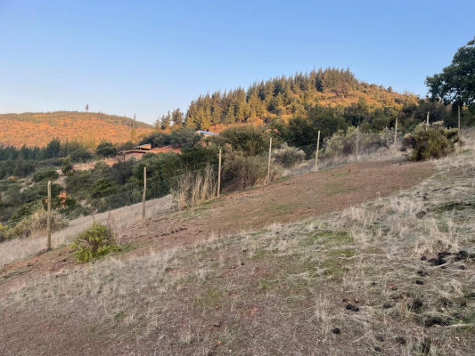 terreno-de-5000-m-en-santa-cruz-excelente-oport-6