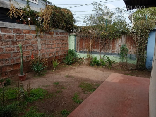 104077669-4
