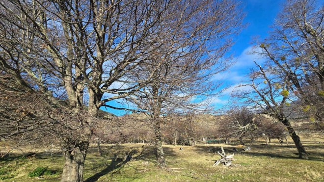 hermosa-propiedad-478-ha-puerto-bertrand-(174437)-4