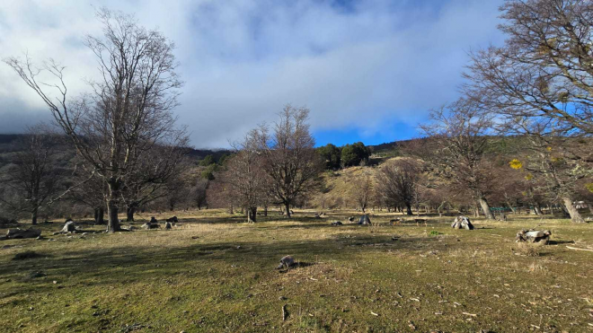 hermosa-propiedad-478-ha-puerto-bertrand-(174437)-7