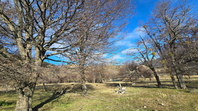 hermosa-propiedad-478-ha-puerto-bertrand-(174437)-9