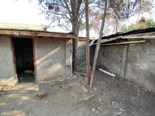 p20268139jum-4