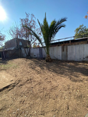 p20268139jum-5