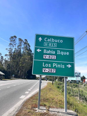 parcela-nativa-5000m²-ilque,-camino-calbuco-(-7