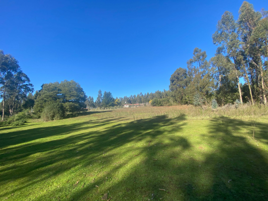 curanipe,-sector-las-canchas,-8900m2-(174395)-9