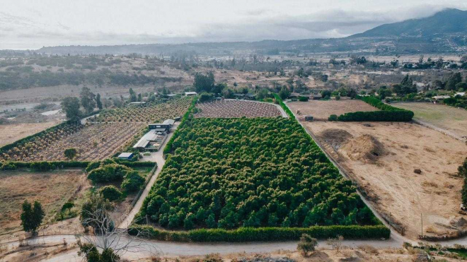 parcela-en-venta-en-limache-(174799)-7