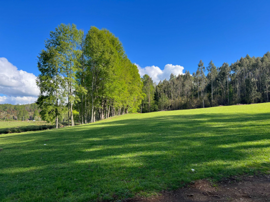 -8