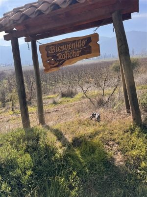 -16
