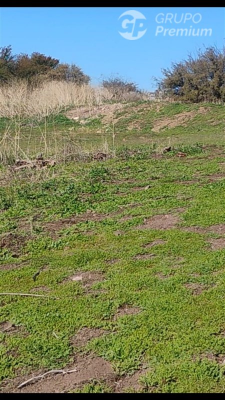 114077733-5