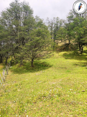 se-vende-terreno-a-minutos-de-coyhaique-4