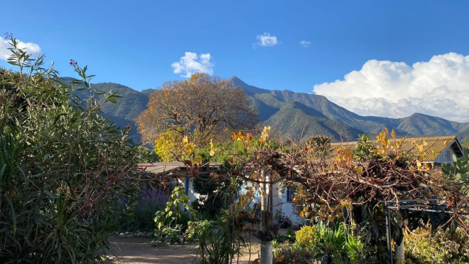 venta-de-casa-de-165-m2-y-960-m2-de-terreno-en--8