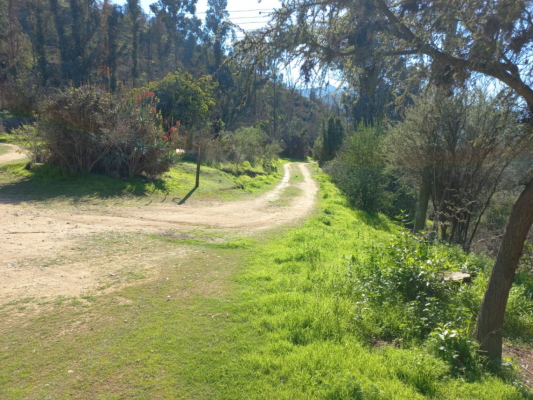 terreno-agricola-de-6-hectareas-en-venta,-en-qu-5