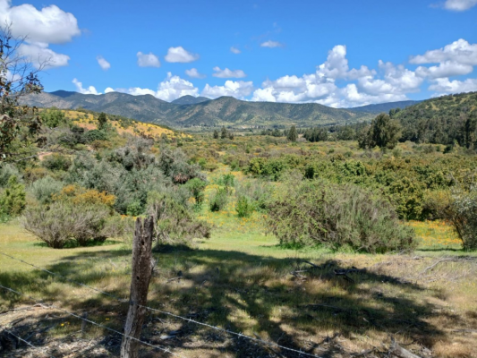 terreno-agricola-de-6-hectareas-en-venta,-en-qu-8