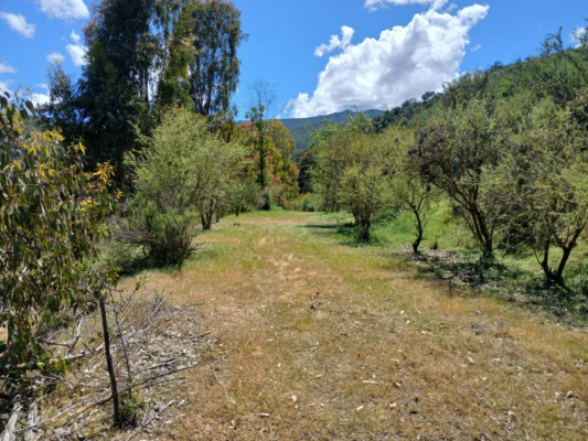 terreno-agricola-de-6-hectareas-en-venta,-en-qu-9