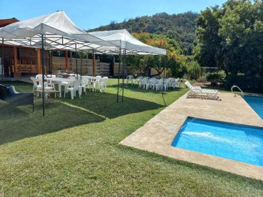 fundo-de-11-hectareas-en-venta,-con-produccion--4