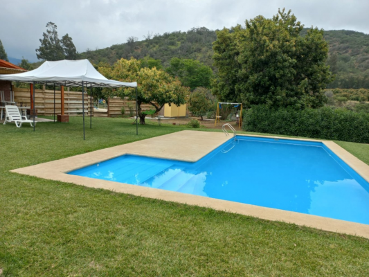 fundo-de-11-hectareas-en-venta,-con-produccion--6