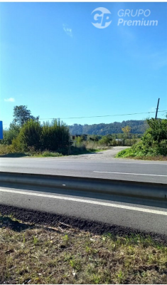 114077759-9