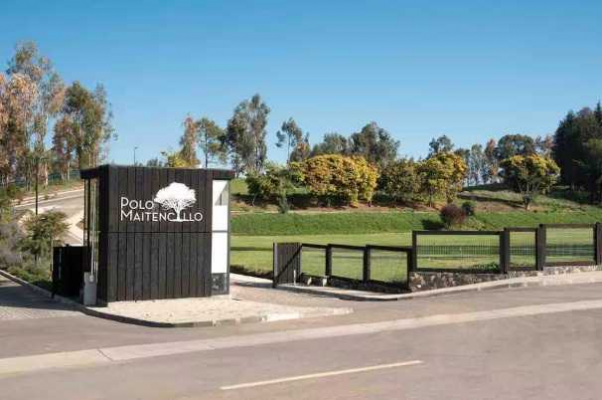 polo-maitencillo-690-m2,-terreno-plano-(175310)-3