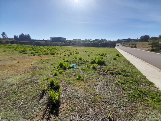 polo-maitencillo-690-m2,-terreno-plano-(175310)-7