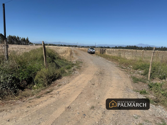parcelas-en-venta-5000m2-camino-a-cato-chillan-5