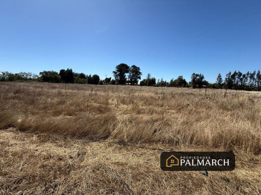 parcelas-en-venta-5000m2-camino-a-cato-chillan-9