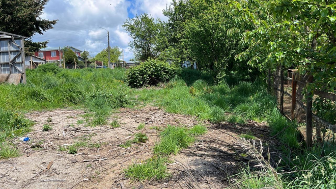 venta-hermoso-terreno-en-el-centro-de-fresia-6