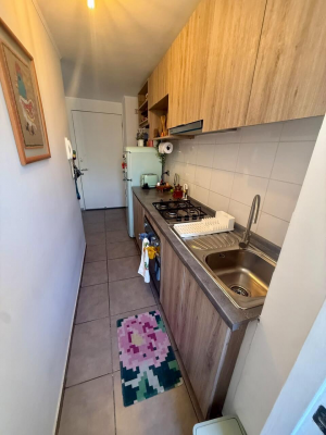 hermoso-departamento-en-venta-en-francisco-de-a-3
