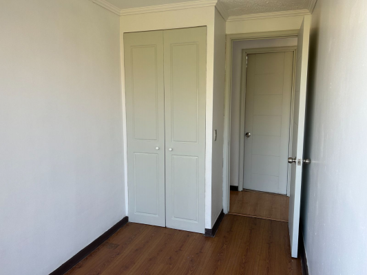 p202682388qd-7