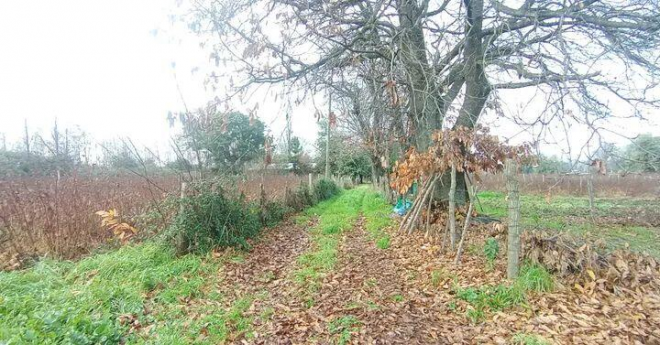 terreno-rural-agricola-15700-mt2-6