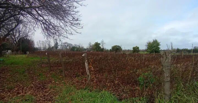 terreno-rural-agricola-15700-mt2-7