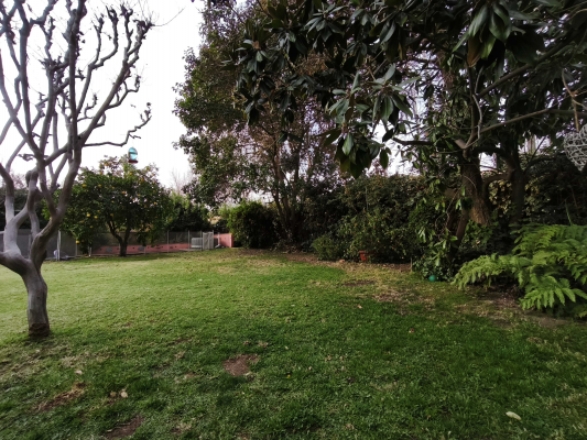 -10