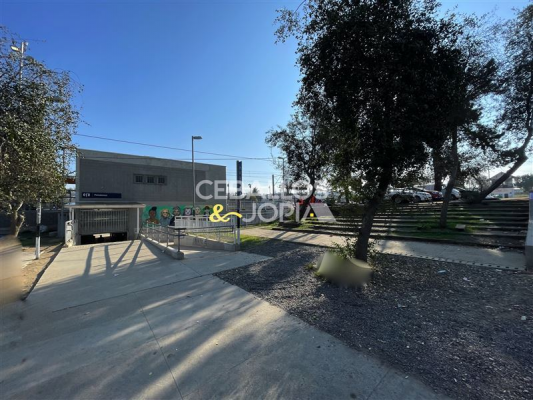 -5
