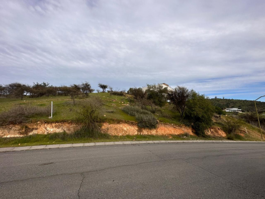 p20266267qcz-6