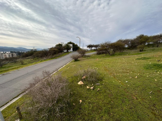 p20266267qcz-7