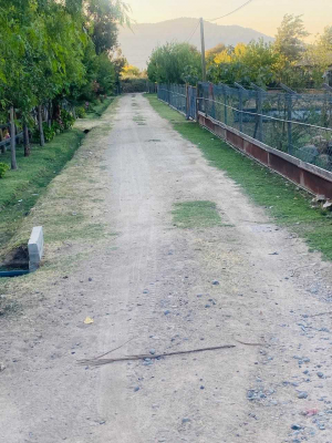 -16