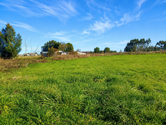 parcela-plana-5000mts-frutillar-con-construccio-9
