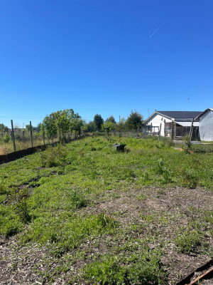 venta-parcela-con-casa-a-10-m-de-san-carlos-6