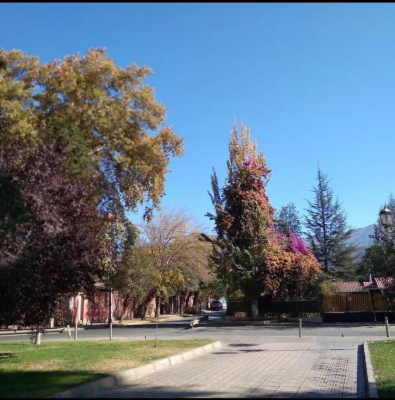 venta-parcela-2500mts-rinconada-9