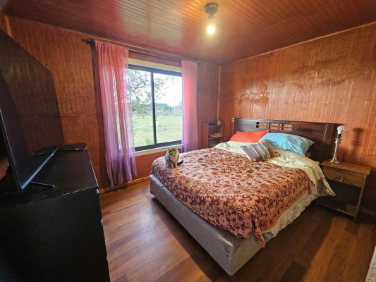 hermosa-parcela-de-5,000mt2-con-casa-camino-a-c-7
