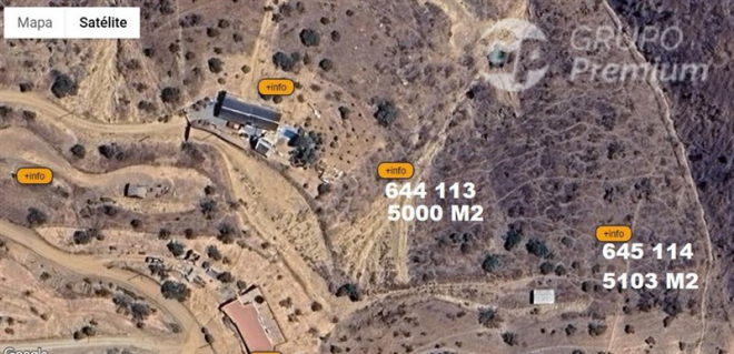 114077897-6
