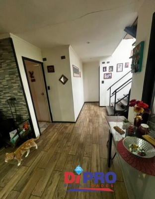 se-vende-parcela-con-hermosa-casa-cruce-polloico-9